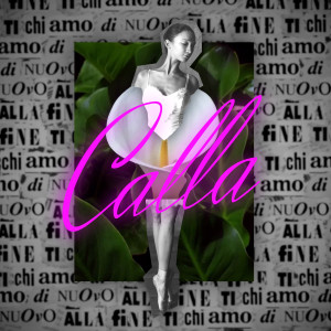 Skelly的专辑CALLA (Explicit)