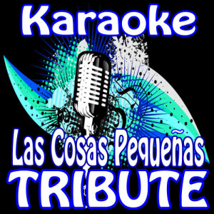 Latin Karaoke Hits的專輯Las Cosas Pequenas (Karaoke Tribute To Prince Royce)