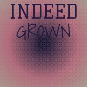 Indeed Grown dari Various