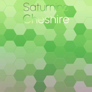 Album Saturnine Cheshire from Various