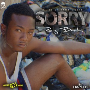 ดาวน์โหลดและฟังเพลง Sorry พร้อมเนื้อเพลงจาก Rally Banks