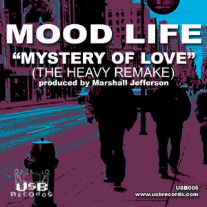 Mood Life的專輯Mystery of Love