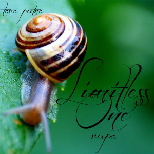 收聽tara putra的Apo歌詞歌曲