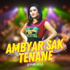 Album Ambyar Sak Tenane from Sephin Misa
