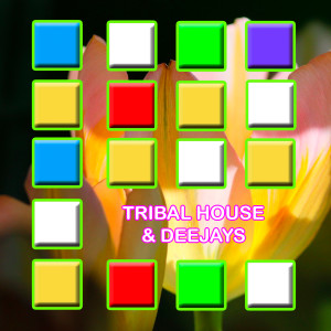 Album Tribal House & Deejays from Various