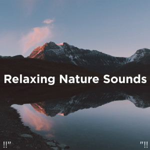 收聽Nature Sounds的Relaxing Nature Sounds歌詞歌曲