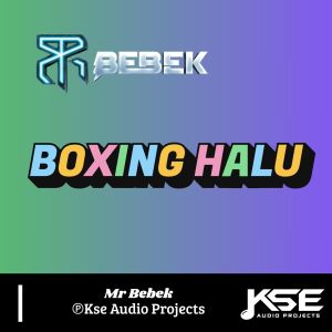 收听Mr Bebek的BOXING HALU歌词歌曲