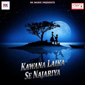Listen to Bin Tohare Sanam song with lyrics from Pradeep Bhardwaj