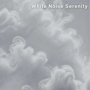 Listen to Sleep Bliss song with lyrics from White Noise for Sleep