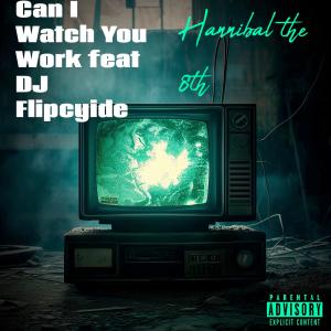 อัลบัม Can I Watch You Work (DJ Flipcyide Remix) [Explicit] ศิลปิน DJ Flipcyide