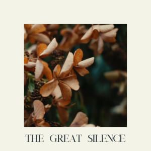 Johan Carøe的專輯The Great Silence