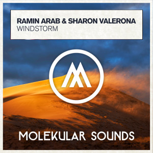 Album Windstorm from Ramin Arab