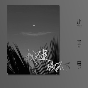 Album 我还是放不下 from 小艺哥