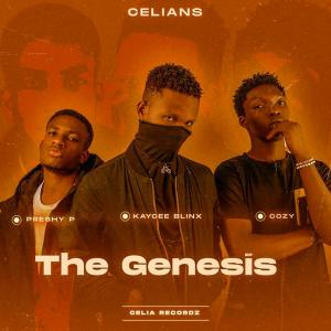 Listen to Ozigizaga (feat. Preshy P, Kaycee Blinx & Cozy) song with lyrics from Celians