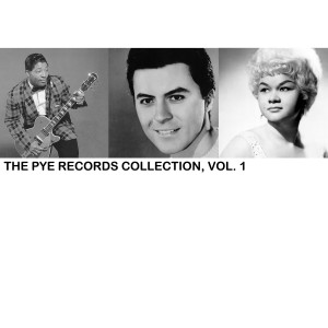 ดาวน์โหลดและฟังเพลง You Are Mine พร้อมเนื้อเพลงจาก Shelley Fabares