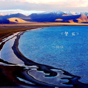 Listen to 繁花 song with lyrics from MC杨依