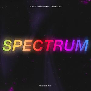 Listen to Spectrum (Say My Name) song with lyrics from Dj Nasigoreng