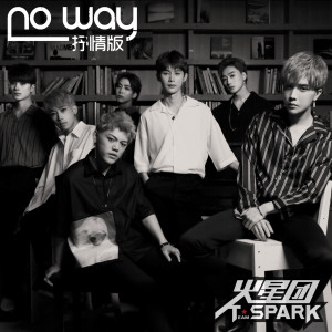 收聽Team Spark（火星團）的No Way 抒情版 (抒情版)歌詞歌曲
