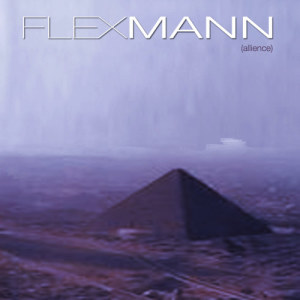 收聽FLEXMANN (Allience)的M What I M歌詞歌曲