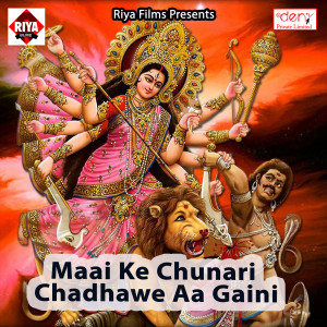 Listen to Hum Navami Karam song with lyrics from Anuj Anmol