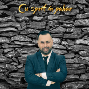 Listen to Porti camasa subtirea song with lyrics from Romica Ciocarlan