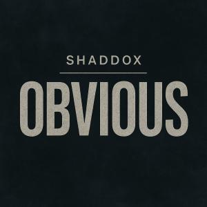 收聽Shaddox的Obvious歌詞歌曲