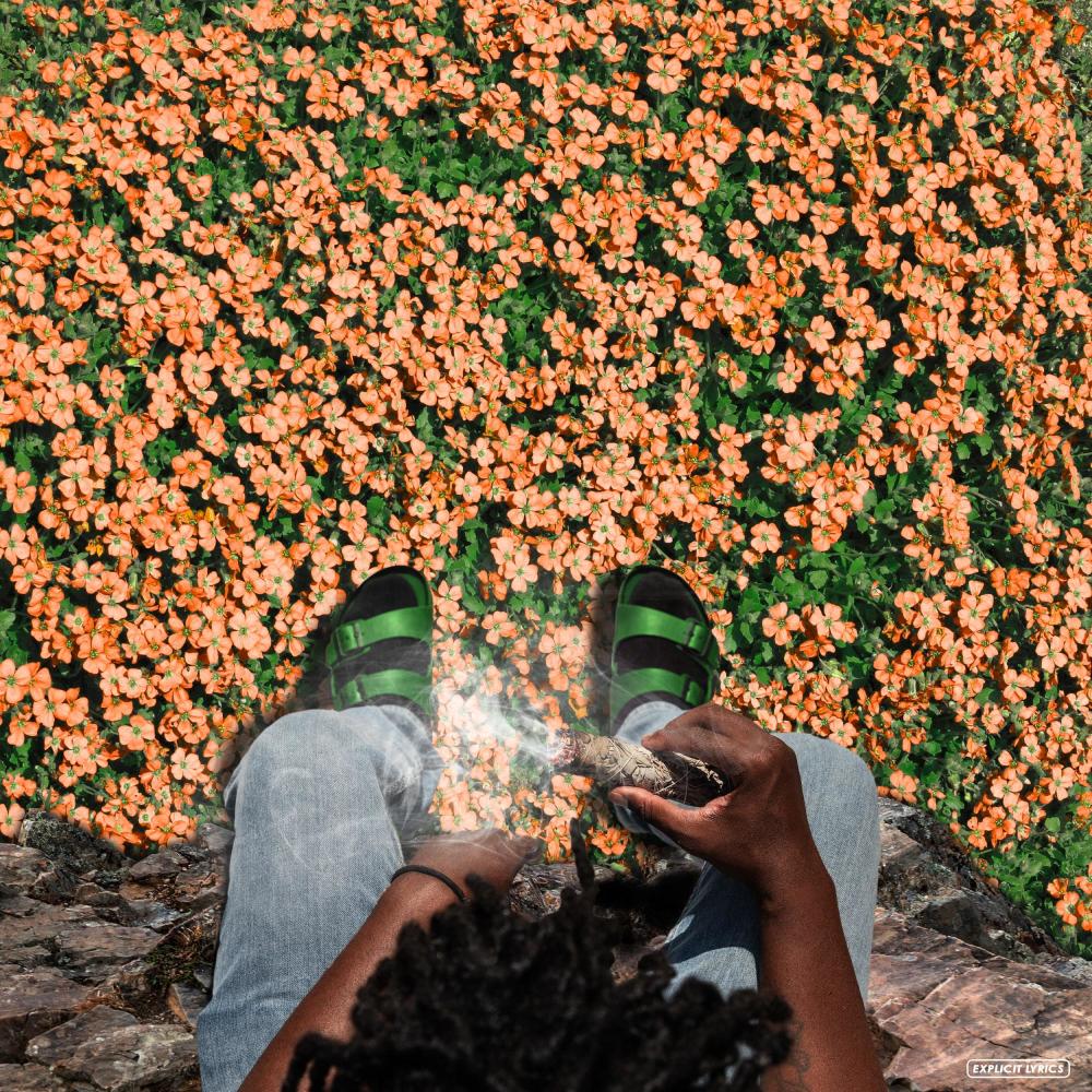 Sage Burner (Explicit)