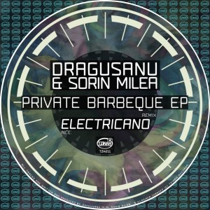 ดาวน์โหลดและฟังเพลง Any (Electricano Remix) พร้อมเนื้อเพลงจาก Dragusanu