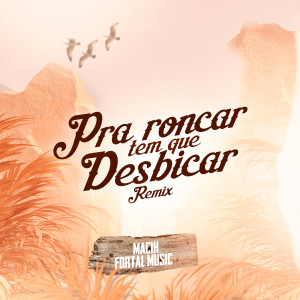 Album Pra Roncar Tem que Desbicar (Remix) oleh MC Ryan SP