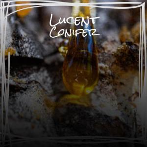 ดาวน์โหลดและฟังเพลง As Daytime พร้อมเนื้อเพลงจาก Nathal Mete