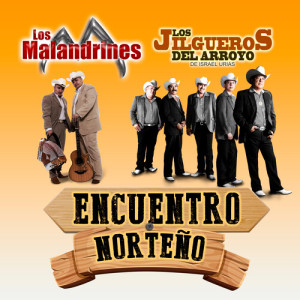 Los Jilgueros Del Arroyo的專輯Encuentro Norteño (Norteño)