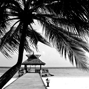 收聽Roll Music的Eu e Ela歌詞歌曲