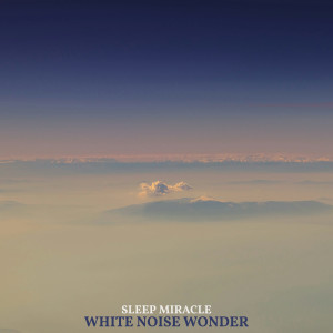 Album White Noise Wonder from Sleep Miracle