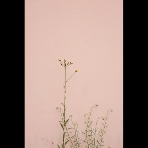 收听Zen Music Garden的For Forever歌词歌曲