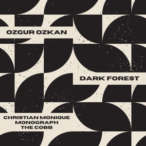 Ozgur Ozkan的專輯Dark Forest