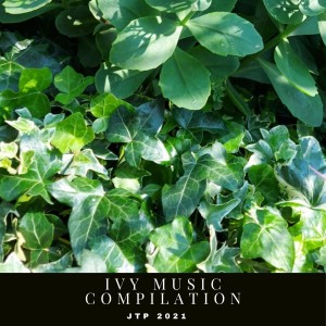Album Ivy Music Compilation Jtp 2021 oleh Various