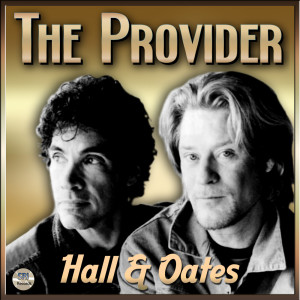 Hall & Oates的專輯The Provider
