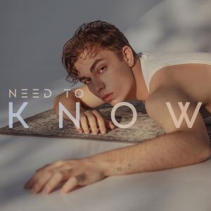 ดาวน์โหลดและฟังเพลง Need to Know พร้อมเนื้อเพลงจาก Denis Kalytovskyi