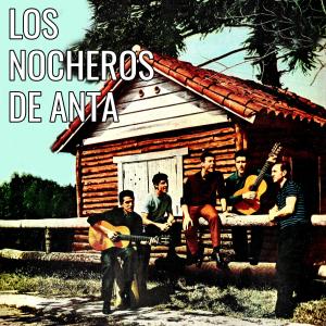 Listen to Destino De Zamba Y Noche song with lyrics from Los Nocheros de Anta
