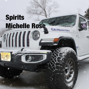 Listen to Spirits song with lyrics from Michelle Rose