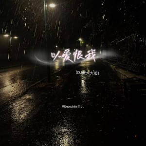 Snowhite白儿的专辑以爱恨我（DJ豪大大版）