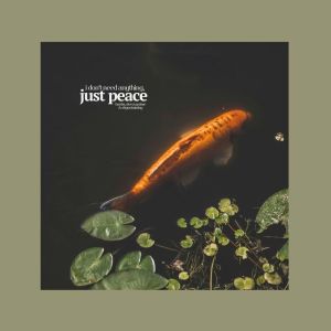 อัลบัม just peace ศิลปิน Banks