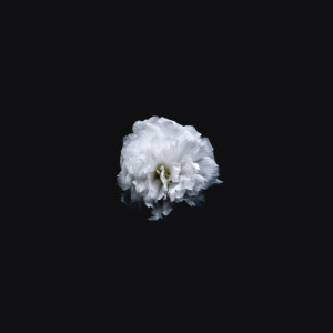 Listen to Set It Free song with lyrics from Deep Sleep