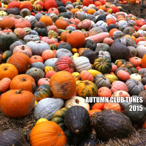 ดาวน์โหลดและฟังเพลง Dark Wave พร้อมเนื้อเพลงจาก Dachstuhl