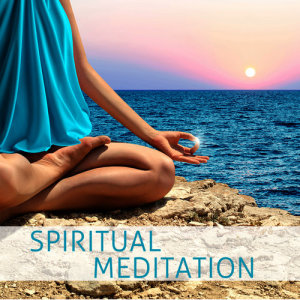 อัลบัม Vegan Meditation: Spiritual Music for Healthy Living ศิลปิน Meditation