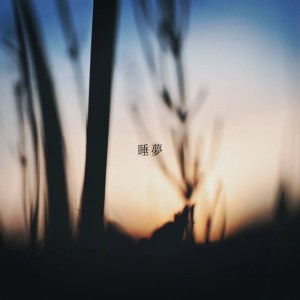 Album Suimu (feat. Curability) from RINNOSUKE