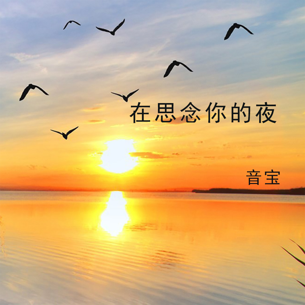在思念你的夜 (完整版)