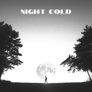 Listen to Night cold song with lyrics from SLAP HOUSE MAFIA