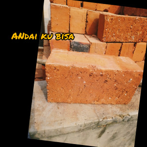 Listen to Andai Ku Bisa song with lyrics from Nandang