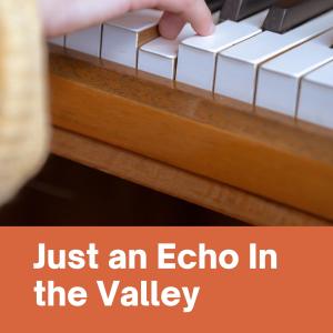 Album Just an Echo In the Valley from The BBC Dance Orchestra